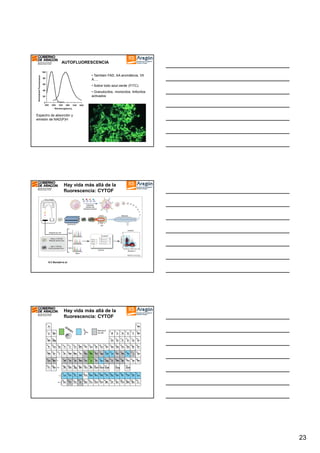 AUTOFLUORESCENCIA
• Tambien FAD, AA aromáticos, Vit
A….
• Sobre todo azul-verde (FITC).
• Granulocitos, monocitos, linfocitos
activados

Espectro de absorción y
emisión de NAD(P)H

Hay vida más allá de la
fluorescencia: CYTOF

S.C Bendall et al.

Hay vida más allá de la
fluorescencia: CYTOF

23

 