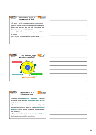 Hay vida más allá de la
fluorescencia: CYTOF
• En teoría + de 100 marcajes simultáneos (contaminación y
oxidación bajan el número) sin necesidad de compensación
• Índice de Marcado peor que los fluorocromos más
brillantes pero muy parecido entre ellos.
• Vmax 1000 cels/seg. Además sólo aprovecha el 30% de
la muestra.
• No FSC/SSC, ni niveles de calcio, división celular………

¿ Que podemos medir
por citometría de flujo?

Metabolitos

Características de la
citometría de flujo
-El análisis es multiparamétrico y simultáneo. - El análisis
se realiza sobre partículas individuales dentro de una
población compleja.
- El análisis se realiza a velocidades de entre 500 y 4000
partículas/segundo lo que resulta en una elevada fiabilidad
estadística (permite analizar poblaciones representadas en
baja frecuencia).
- Se pueden analizar partículas de tamaños 0,5-100 µm
(bacterias, levaduras, células eucarióticas).

24

 