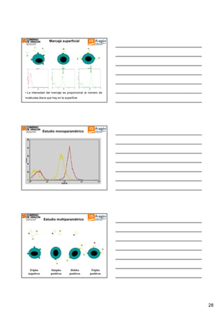 Marcaje superficial

• La intensidad del marcaje es proporcional al número de
moléculas diana que hay en la superficie

Estudio monoparamétrico

Estudio multiparamétrico

Triples
negativos

Simples
positivos

Dobles
positivos

Triples
positivos

28

 