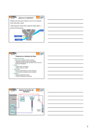 ¿Que es un citómetro?
•Sistema que hace pasar células de una en una haciendo
incidir sobre ellas un láser.
• Mide dispersión frontal (FSC), dispersión lateral (SSC) y
emisión de fluorescencia.
Boquilla de
inyección

Dispersión

Señal fluorescente
Dispersión

Láser incidente
focalizado

Partes de un citómetro de flujo
• Sistema de Fluidos
– Crea un flujo constante de fluido envolvente
– Transporta la muestra al punto de interrogación
– Alinea las partículas de modo que pasen de una en una por
el punto de interrogación

• Óptica
– Focaliza el láser de excitación
– recoge y mide la luz emitida

•

Electrónica
– Convierte la señal óptica en un pulso electrónico
– Envía la señal al procesador para ser analizado

• Software
– Muestra gráficamente los datos
– Controla la configuración del sistema

Sistema de fluidos del
FACSAria
Carro de fluidos
Presión

Plenum

Cámara

Fluido
envolvente
Tubo de
muestra

Basura

3

 