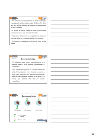 • Para realizar el marcaje simplemente se añade el anticuerpo
a la suspensión celular, se deja incubar 15-30 min. A 4º C, se
lava para eliminar el exceso de anticuerpo, se resuspende y
se lleva al citómetro
• En el caso de marcaje indirecto se hacen 2 incubaciones
consecutivas con un paso de lavado intermedio.
• Si trabajamos directamente con sangre debemos realizar un
paso final de lisis de eritrocitos sin afectar a los leucocitos.
• Si no podemos analizarlas en el momento se puede fijar las
células

Controles de isotipo.
• El anticuerpo puede unirse inespecíficamente a la
superficie celular o a las proteínas citoplasmáticas →
Falso positivo.
• Para controlar este problema se usan los controles de
isotipo: Anticuerpos de la misma clase del que usamos y
con el mismo fluorocromo pero diseñados para reconocer
moléculas que nunca están presentes en las células → el
marcaje

que

aparezca

sólo

será

por

uniones

inespecíficas.

Controles de isotipo

Unión específica

Unión inespecífica

Control de isotipo

Primario conjugado
(directo)

Control de isotipo

34

 