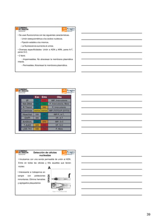 • Se usan fluorocromos con las siguientes características.
- Unión estequiométrica a los ácidos nucleicos.
- Fijación estable a los mismos.
- La fluorescencia aumenta al unirse.
• Diversas especificidades: Unión a ADN y ARN, pares A-T,
pares G-C.
• 2 tipos.
- Impermeables. No atraviesan la membrana plasmática
intacta.
- Permeables. Atraviesan la membrana plasmática.

Detección de células
nucleadas
• Incubamos con una sonda permeable de unión al ADN.
Entra en todas las células y tiñe aquellas que tienen
núcleo
• Interesante si trabajamos en
sangre

con

poblaciones

minoritarias: Elimina hematíes
y agregados plaquetarios

Stuart T.F et al Blood 2006

39

 