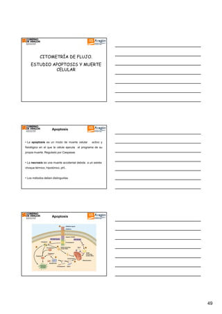 CITOMETRÍA DE FLUJO.
ESTUDIO APOPTOSIS Y MUERTE
CELULAR

Apoptosis

• La apoptosis es un modo de muerte celular

activo y

fisiológico en el que la célula ejecuta el programa de su
propia muerte. Regulado por Caspasas

• La necrosis es una muerte accidental debida a un estrés:
choque térmico, hipotónico, pH..

• Los métodos deben distinguirlas

Apoptosis

49

 
