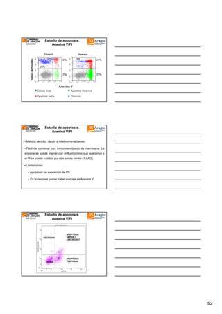 Estudio de apoptosis.
Anexina V/PI

10 3

10 3

14%

10

10 2

2

15%

10 1

10 2

10 3

10 4

10

1

37%

10 0

10 1

5%

10 0

10

5%

10

10 4

4

Fármaco

6%

0

Yoduro de Propidio

Control

10 0

10 1

10 2

10 3

10 4

Anexina V
Células vivas

Apoptosis temprana

Apoptosis tardía

Necrosis

Estudio de apoptosis.
Anexina V/PI
• Método sencillo, rápido y relativamente barato.
• Fácil de combinar con inmunofenotipado de membrana: La
anexina se puede marcar con el fluorocromo que queramos y
el PI se puede sustituir por otra sonda similar (7-AAD).
• Limitaciones:
- Apoptosis sin exposición de PS.
- En la necrosis puede haber marcaje de Anexina V.

Estudio de apoptosis.
Anexina V/PI

NECROSIS

VIVAS

APOPTOSIS
TARDIA +
¿NECROSIS?

APOPTOSIS
TEMPRANA

52

 