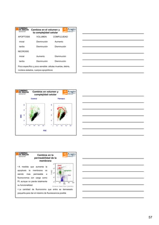 Cambios en el volumen y
la complejidad celular
APOPTOSIS

VOLUMEN

COMPLEJIDAD

inicial

Disminución

Aumento

tardía

Disminución

Disminución

inicial

Aumento

Disminución

tardía

Disminución

Disminución

NECROSIS

Poco específico y poco sensible: células muertas, debris,
núcleos aislados, cuerpos apoptóticos

Cambios en volumen y
complejidad celular
Fármaco

128

128
0

0

64

64

SSC

192

192

256

256

Control

0

64

128

192

256

0

64

128

192

256

FSC

Cambios en la
permeabilidad de la
membrana
• A medida que aumenta la
apoptosis
siendo

la

membrana

va

mas

permeable

a

fluorocromos con carga como
PI, aunque no pierde totalmente
su funcionalidad.

Ormerod. Basic flow Cytometry

• La cantidad de fluorocromo que entra es demasiado
pequeña para dar el máximo de fluorescencia posible

57

 