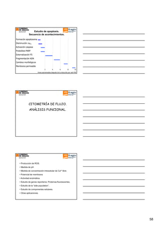 Estudio de apoptosis.
Secuencia de acontecimientos.
Formación apoptosoma
Disminución ∆ψm
Activación caspasa
Proteólisis PARP
Externalización FS
Fragmentación ADN
Cambios morfológicos
Membrana permeable
2

4

6

8

10

Horas aproximadas después de la inducción por anti-FAS

CITOMETRÍA DE FLUJO.
ANÁLISIS FUNCIONAL.

• Producción de ROS.
• Medida de pH
• Medida de concentración intracelular de Ca2+ libre
• Potencial de membrana
• Actividad enzimática.
• Estudio de genes reporteros: Proteínas fluorescentes.
• Estudio de la “side population”.
• Estudio de componentes celulares.
• Otras aplicaciones.

58

 