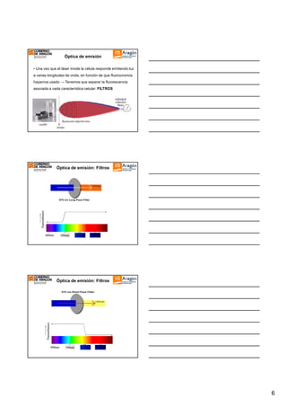 Óptica de emisión
• Una vez que el láser incide la célula responde emitiendo luz
a varias longitudes de onda, en función de que fluorocromos
hayamos usado → Tenemos que separar la fluorescencia
asociada a cada característica celular: FILTROS

Transmittance

Óptica de emisión: Filtros

400nm

500nm

600nm

700nm

Transmittance

Óptica de emisión: Filtros

400nm

500nm

600nm

700nm

6

 