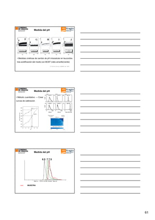 Medida del pH

• Medidas cinéticas de cambio de pH intracelular en leucocitos
tras acidificación del medio con BCEF (ratio amarillo/verde)
O´Connor JE et al. IUBMIB Life. 2001

Medida del pH
• Método cuantitativo → Crear
curvas de calibración

Medida del pH
6.5 7 7.5

MUESTRA

61

 