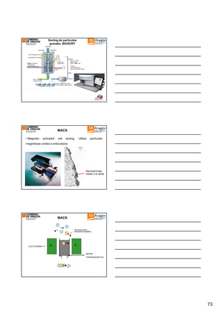 Sorting de partículas
grandes. BIOSORT

MACS
• Magnetic

activated

cell

sorting.

Utiliza

partículas

magnéticas unidas a anticuerpos

Nanopartículas
unidas a la célula

MACS

Anticuerpo unido a
nanopartícula magnética

ELECTROIMÁN

N

S

MATRIZ
FERROMAGNÉTICA

73

 