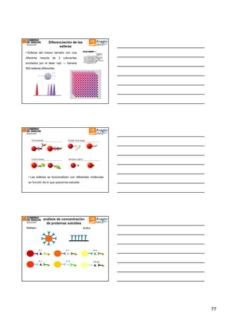 Diferenciación de las
esferas
• Esferas del mismo tamaño con una
diferente

mezcla

de

3

colorantes

excitados por el láser rojo → Genera
500 esferas diferentes

• Las esferas se funcionalizan con diferentes moléculas
en función de lo que queramos estudiar

análisis de concentración
de proteínas solubles
Multiplex

ELISA

IL-2
IL-

IL-5
IL-

IL-4
IL-

IFN-g
IFN-

IL-10
ILPE

PE

PE

PE

TNFTNF-alfa
PE

PE

77

 