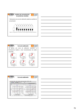 análisis de concentración
de proteínas solubles
• Generando una curva de calibración podemos cuantificar la
concentración

Curva de calibración
Se

genera

una

curva

de

calibración

asociando

la

fluorescencia medida a unas concentraciones de analito
conocidas

0 pg/ml

312.5 pg/ml

40 pg/ml

625 pg/ml

156 pg/ml

5000 pg/ml

Curva de calibración

79

 