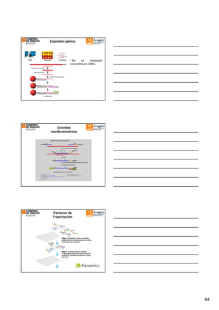 Expresión génica

• No
es
necesario
convertirlo en cDNA.

Grandes
reordenamientos

Factores de
Trascripción

84

 