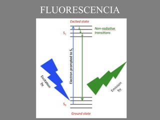 FLUORESCENCIA
 
