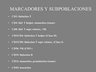 MARCADORES Y SUBPOBLACIONES
• CD3: linfocitos T
• CD4: linf. T helper, monocitos (tenue)
• CD8: linf. T supr./citotox., NK
• CD3/CD4: linfocitos T helper (Clase II)
• CD3/CD8: linfocitos T supr./citotox. (Clase I)
• CD56: NK (CD3-)
• CD19: linfocitos B
• CD14: monocitos, granulocitos (tenue)
• CD45: leucocitos
 