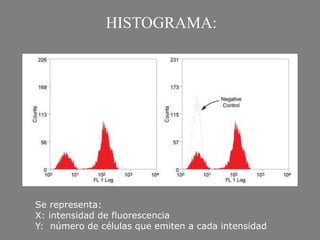 HISTOGRAMA:
Se representa:
X: intensidad de fluorescencia
Y: número de células que emiten a cada intensidad
 