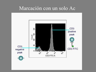 Marcación con un solo Ac
 