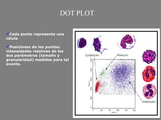 Cada punto representa una
célula
Posiciones de los puntos:
intensidades relativas de los
dos parámetros (tamaño y
granularidad) medidos para tal
evento.
DOT PLOT
 