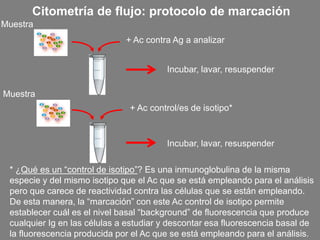 Citometría de flujo: protocolo de marcación
+ Ac control/es de isotipo*
+ Ac contra Ag a analizar
Incubar, lavar, resuspender
Incubar, lavar, resuspender
* ¿Qué es un “control de isotipo”? Es una inmunoglobulina de la misma
especie y del mismo isotipo que el Ac que se está empleando para el análisis
pero que carece de reactividad contra las células que se están empleando.
De esta manera, la “marcación” con este Ac control de isotipo permite
establecer cuál es el nivel basal “background” de fluorescencia que produce
cualquier Ig en las células a estudiar y descontar esa fluorescencia basal de
la fluorescencia producida por el Ac que se está empleando para el análisis.
Muestra
Muestra
 