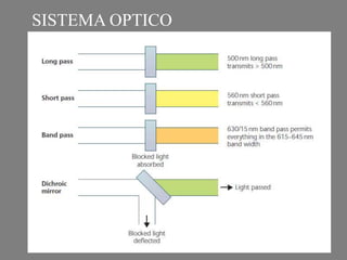 SISTEMA OPTICO
 