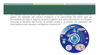  La medida del contenido de DNA también ha sido utilizada para determinar el 
grado de aploidía de células malignas y el porcentaje de estas que se 
encuentran en fase S. Algunos autores sugieren que esta información es útil para 
conocer el tamaño del tumor, el estado nodal y el estado de expresión de 
marcadores para ayudar a establecer el pronóstico del tumor 
 