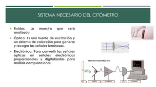 SISTEMA NECESARIO DEL CITÓMETRO 
 Fluidos. La muestra que será 
analizada 
 Óptica. Es una fuente de excitación y 
un sistema de colección para generar 
y recoger las señales luminosas. 
 Electrónica. Para convertir las señales 
ópticas en señales electrónicas 
proporcionales y digitalizarlas para 
análisis computacional. 
 