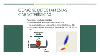 COMO SE DETECTAN ESTAS 
CARACTERÍSTICAS 
 