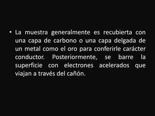 • La muestra generalmente es recubierta con 
una capa de carbono o una capa delgada de 
un metal como el oro para conferirle carácter 
conductor. Posteriormente, se barre la 
superficie con electrones acelerados que 
viajan a través del cañón. 
 