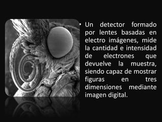 • Un detector formado 
por lentes basadas en 
electro imágenes, mide 
la cantidad e intensidad 
de electrones que 
devuelve la muestra, 
siendo capaz de mostrar 
figuras en tres 
dimensiones mediante 
imagen digital. 
 