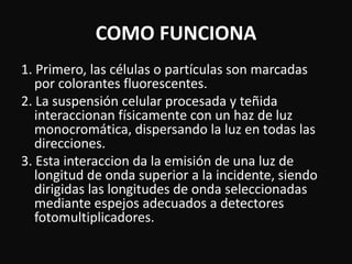 COMO FUNCIONA 
1. Primero, las células o partículas son marcadas 
por colorantes fluorescentes. 
2. La suspensión celular procesada y teñida 
interaccionan físicamente con un haz de luz 
monocromática, dispersando la luz en todas las 
direcciones. 
3. Esta interaccion da la emisión de una luz de 
longitud de onda superior a la incidente, siendo 
dirigidas las longitudes de onda seleccionadas 
mediante espejos adecuados a detectores 
fotomultiplicadores. 
 