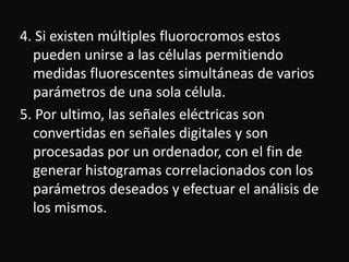 4. Si existen múltiples fluorocromos estos 
pueden unirse a las células permitiendo 
medidas fluorescentes simultáneas de varios 
parámetros de una sola célula. 
5. Por ultimo, las señales eléctricas son 
convertidas en señales digitales y son 
procesadas por un ordenador, con el fin de 
generar histogramas correlacionados con los 
parámetros deseados y efectuar el análisis de 
los mismos. 
 