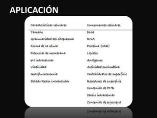APLICACIÓN 
 