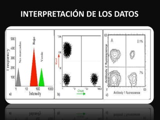 INTERPRETACIÓN DE LOS DATOS 
 