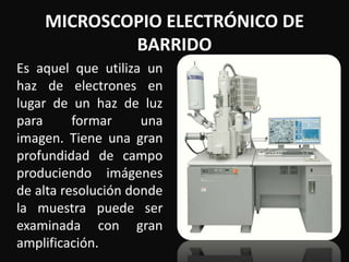 MICROSCOPIO ELECTRÓNICO DE 
BARRIDO 
Es aquel que utiliza un 
haz de electrones en 
lugar de un haz de luz 
para formar una 
imagen. Tiene una gran 
profundidad de campo 
produciendo imágenes 
de alta resolución donde 
la muestra puede ser 
examinada con gran 
amplificación. 
 