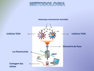 Linfócito TCD4
Anticorpos monoclonais marcados
Linfócito TCD8
Citometria de fluxo
Luz fluorescente
Laser
Contagem das
células
 