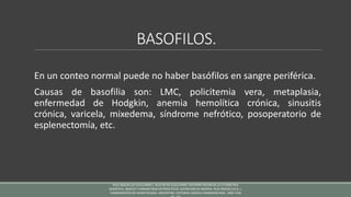 BASOFILOS.
En un conteo normal puede no haber basófilos en sangre periférica.
Causas de basofilia son: LMC, policitemia vera, metaplasia,
enfermedad de Hodgkin, anemia hemolítica crónica, sinusitis
crónica, varicela, mixedema, síndrome nefrótico, posoperatorio de
esplenectomía, etc.
RUIZ ARGÜELLES GUILLERMO J. RUIZ REYES GUILLERMO. INTERPRETACION DE LA CITOMETRIA
HEMATICA. INDICES Y PARAMETROS ERITROCITICOS. DEFINICION DE ANEMIA. RUIZ ARGÜELLES G. J.
FUNDAMENTOS DE HEMATOLOGIA. ARGENTINA: EDITORIAL MEDICA PANAMERICANA; 2004. PAG
 