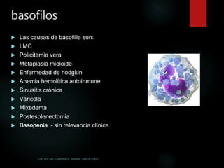 Citometria hematica | PPTX