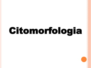 Citomorfologia
 