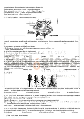 a) o peroxissomo, os ribossomos e o retículo endoplasmático não granuloso.
b) o citoesqueleto, os centríolos e o retículo endoplasmático granuloso.
c) o complexo golgiense, os ribossomos e o retículo endoplasmático granuloso.
d) o peroxissomo, os vacúolos e o retículo endoplasmático não granuloso.
e) o complexo golgiense, os vacúolos e o cloroplasto.

15. (CFT-MG 2010) A figura a seguir mostra uma célula vegetal.




A organela responsável pela secreção de glicoproteínas e alguns polissacarídeos, que integram a parede celular, está representada pelo número
a) 1                                   b) 2                                    c) 3                                 d) 4

16. (Unemat 2010) Considere as seguintes funções celulares.
I. Contêm enzimas digestivas, como carboidrases, lipases, proteases, nucleases, fosfatases, etc.
II. Digerem material celular danificado.
III. Seu rompimento pode ser responsável por alguma doença.
IV. São encontrados aderidos à membrana do retículo endoplasmático rugoso.
São características dos lisossomos somente:
a) I, II, III, e IV.                     b) I, II e IV.               c) I, II e III                   d) II, III e IV.                e) II e III.

17. (CPS 2010) As doenças profissionais e os acidentes de trabalho constituem um grande problema de saúde pública. Existem registros históricos
de que há cerca de dois mil anos, trabalhadores já utilizavam máscaras para se proteger das poeiras produzidas pelo corte de arenito e de granito,
pedras muito utilizadas em construções. A mais antiga e grave doença ocupacional conhecida ocorre em indivíduos que trabalham em atividades
que envolvem a utilização de jatos de areia, o corte de pedras e a escavação de túneis.
Essa doença, que causa, até hoje, graves transtornos de saúde ao trabalhador, sendo progressiva, incurável e determinando a incapacidade para o
trabalho ou morte, é conhecida como:
a) Siclemia                          b) Fibrose Cística                       c) Silicose                         d) Adrenoleucodistrofia (ALD)

18. (UFLa 2010)




A figura mostra a redução da cauda de girinos durante o seu desenvolvimento. Assinale a alternativa que contém, respectivamente, o nome do
processo e a principal organela responsável pela redução da cauda.
a) Heterofagia, peroximo                  b) Heterofagia, lisossomo             c) Autofagia, peroximo              d) Autofagia, lisossomo

19. (UFF 2010) Quando se coloca água oxigenada em um ferimento na pele, uma enzima localizada no interior de uma determinada organela das
células do tecido ferido cliva essa água, provocando um borbulhamento sobre o ferimento.
a) Em que organela a enzima em questão se localiza?
b) Explique por que ocorre o borbulhamento sobre o ferimento, descrevendo a reação e a enzima envolvida.
c) Um animal geneticamente modificado apresenta uma redução significativa da síntese das enzimas da organela identificada na resposta do item
   a. Nesse caso, o processo de detoxificação do etanol seria afetado? Justifique.
d) Cite o nome e a função específica da organela identificada no item a, nas células vegetais.

20. (UFPB 2010) Em uma aula de Biologia, os estudantes puderam observar, ao microscópio, emissão de pseudópodos em amebas e movimento
de ciclose em células de folhas de Elodea. As estruturas celulares diretamente envolvidas nos movimentos celulares observados são os
a) microtúbulos.                   b) microfilamentos.               c) filamentos intermediários.          d) cílios.           e) flagelos.

21. (CFT-SC 2010) Observe as figuras abaixo:
 