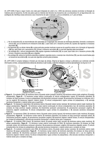 24. (UFPI 2009) A figura a seguir mostra uma visão geral (Adaptada de Lodish et al., 2005) das estruturas celulares envolvidas na liberação de
materiais para os lisossomos. As três vias pelas quais os materiais são liberados dos lisossomos são: as endocísticas (1); as fagocísticas (2); e as
autofágicas (3). Identifique essas estruturas e seus mecanismos de ação e assinale V, para as verdadeiras, ou F, para as falsas.




(   ) Na via endocística (1), as macromoléculas são capturadas por invaginação das vesículas da membrana plasmática, formando o endossomo
       precoce (5), que se transforma em endossomo tardio (6), e, após fusão com o lisossomo primário (7), aquelas são digeridas no lisossomo
       secundário (8).
(   ) Na fagocitose (2), as células inteiras (9) e outras partículas grandes insolúveis movem-se da superfície celular com a formação do fagossomo
       (10) que, após fusão com o peroxissomo (11), formam o lisossomo secundário (8), no qual são digeridas pelas peroxidases.
(    ) Na autofagia (3), o retículo endoplasmático (12) engloba organelas envelhecidas (13), as quais, após fusão com o lisossomo primário (14),
       formam o lisossomo secundário (8) para a digestão.
(   ) Na autofagia (3), sobras de membrana plasmática englobam organelas jovens, a exemplo das mitocôndrias (13), que são encaminhadas para
       os lisossomos secundários (8), nos quais são digeridas somente pelas proteases.

25. (UFPI 2009) O universo biológico é formado por dois tipos de células. Observe as figuras e marque a alternativa que contempla somente
informações corretas, correspondendo às estruturas celulares e suas funções, conforme indicações numéricas apresentadas nas figuras A e B.




a) Figura A – 1) nucleoide (DNA); 2) membrana interna; 3) parede celular (proteção mecânica); 4) membrana externa (ação antigênica); 5) espaço
   periplasmático. Figura B – 1) membrana nuclear externa (continuação do retículo endoplasmático rugoso); 2) membrana plasmática; 3)
   complexo de Golgi (processa e monta os polipeptídeos); 4) mitocôndrias (produzem energia); 5) peroxissomos (processam as moléculas com o
   uso de oxigênio); 6) lisossomos (digerem material celular); 7) retículo endoplasmático rugoso (síntese de polipeptídeos); e 8) vesículas
   secretoras (transportam o material celular para a superfície).
b) Figura A – 1) mesossomo (plasmídeo); 2) membrana interna; 3) parede celular (produz celulose); 4) membrana externa (ação mecânica); 5)
   espaço periplasmático. Figura B – 1) membrana nuclear externa (continuação do retículo endoplasmático liso); 2) membrana plasmática; 3)
   complexo de Golgi (promove reações oxidativas); 4) mitocôndrias (produzem peroxissomos); 5) peroxissomos (processam oxigênio); 6)
   lisossomos (digerem substâncias); 7) retículo endoplasmático rugoso (síntese de polipeptídeos); e 8) vesículas secretoras (transportam
   moléculas).
c) Figura A – 1) mesossomo (DNA); 2) membrana interna; 3) parede celular (produz ligninas); 4) membrana externa (ação mecânica); 5) espaço
   periplasmático. Figura B – 1) membrana nuclear externa; 2) membrana plasmática; 3) complexo de Golgi (promovem respiração celular); 4)
   mitocôndrias (produzem oxigênio); 5) peroxissomos (processam oxigênio); 6) lisossomos (digerem material celular); 7) retículo endoplasmático
   liso (síntese de polipeptídeos); e 8) vesículas secretoras (transportam o material celular para o citoplasma).
d) Figura A – 1) nucleoide (DNA invasor); 2) membrana interna; 3) parede celular (ação vacuolar) 4) membrana externa (ação mecânica); 5)
   espaço periplasmático. Figura B – 1) membrana nuclear externa (continuação do DNA); 2) membrana plasmática; 3) complexo de Golgi
   (excreção celular); 4) mitocôndrias (produzem alimentos); 5) peroxissomos (processam oxigênio); 6) lisossomos (digestão celular); 7) retículo
   endoplasmático liso (síntese de polipeptídeos) e 8) vesículas secretoras (transportam o material celular para o complexo de Golgi).
e) Figura A – 1) nucleoide (cromossomo extra DNA); 2) membrana interna; 3) parede celular (produz vacúolos); 4) membrana externa (ação
   mecânica); 5) espaço periplasmático. Figura B – 1) membrana nuclear externa; 2) membrana plasmática; 3) complexo de Golgi (promove
   reações oxidativas); 4) mitocôndrias (produzem peroxissomos); 5) peroxissomos (processam as moléculas com o uso de oxigênio); 6)
   lisossomos (digerem material celular); 7) retículo endoplasmático rugoso (síntese de polipeptídeos); e 8) vesículas secretoras (transportam o
   material celular para o complexo de Golgi).
 