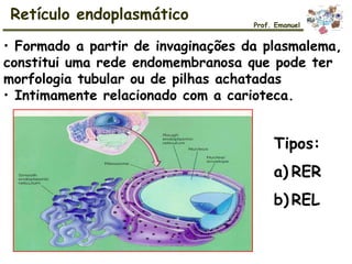• Formado a partir de invaginações da plasmalema,
constitui uma rede endomembranosa que pode ter
morfologia tubular ou de pilhas achatadas
• Intimamente relacionado com a carioteca.
Tipos:
a) RER
b) REL
Retículo endoplasmático
Prof. Emanuel
 