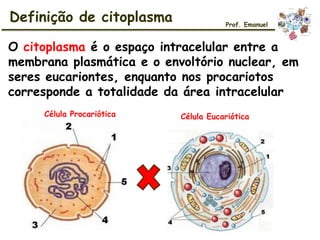 O citoplasma é o espaço intracelular entre a
membrana plasmática e o envoltório nuclear, em
seres eucariontes, enquanto nos procariotos
corresponde a totalidade da área intracelular
Definição de citoplasma Prof. Emanuel
Célula Procariótica Célula Eucariótica
 
