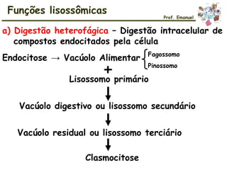 a) Digestão heterofágica – Digestão intracelular de
compostos endocitados pela célula
Fagossomo
Pinossomo
+Lisossomo primário
Vacúolo digestivo ou lisossomo secundário
Vacúolo residual ou lisossomo terciário
Clasmocitose
Funções lisossômicas
Prof. Emanuel
Endocitose → Vacúolo Alimentar
 