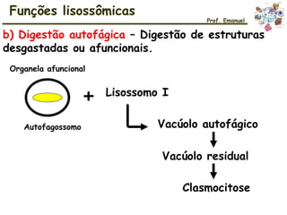 Autofagossomo
Organela afuncional
+ Lisossomo I
Vacúolo autofágico
Vacúolo residual
Clasmocitose
Funções lisossômicas
b) Digestão autofágica – Digestão de estruturas
desgastadas ou afuncionais.
Prof. Emanuel
 