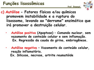 Funções lisossômicas
Prof. Emanuel
c) Autólise - Fatores físicos e/ou químicos
promovem instabilidade e a ruptura do
lisossomo, levando ao "derrame" enzimático que
irá promover a destruição celular.
• Autólise positiva (Apoptose) – Comando nuclear, sem
vazamento de conteúdo celular e sem inflamação.
Ex. Regressão da cauda do girino, embriogênese.
• Autólise negativa – Vazamento do conteúdo celular,
reação inflamatória.
Ex. Silicose, necrose, artrite reumatóide
 