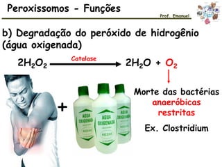 Peroxissomos - Funções
Prof. Emanuel
b) Degradação do peróxido de hidrogênio
(água oxigenada)
2H2O2
Catalase
2H2O + O2
+
Morte das bactérias
anaeróbicas
restritas
Ex. Clostridium
 