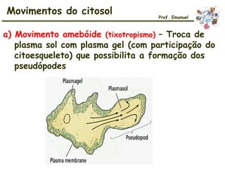 Movimentos do citosol
a) Movimento amebóide (tixotropismo) – Troca de
plasma sol com plasma gel (com participação do
citoesqueleto) que possibilita a formação dos
pseudópodes
Prof. Emanuel
 