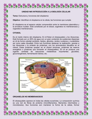 UNIDAD N#3 INTRODUCCIÓN A LA BIOLOGÍA CELULAR
Tema: Estructura y funciones del citoplasma
Objetivo: Identificar el citoplasma en la célula, las funciones que cumple.
El citoplasma es el espacio celular comprendido entre la membrana plasmática y
la envoltura nuclear. Está constituido por el citosol, organelos no membranosos y
organelos membranosos.
CITOSOL
Es el medio interno del citoplasma. En él flotan el citoesqueleto y los ribosomas.
Está formado por un 85% de agua con un gran contenido de sustancias dispersas
en él de forma coloidal (prótidos, lípidos, glúcidos, ácidos nucleicos y nucleótidos
así como sales disueltas. Entre sus funciones destacan la realización, gracias a
los ribosomas y la síntesis de proteínas, con los aminoácidos disueltos en el
citosol. Estas proteínas quedan en el citosol (enzimas, proteínas de reserva
energética o proteínas que formarán el citoesqueleto). En él se produce una
ingente cantidad de reacciones metabólicas importantes: glucólisis,
gluconeogénesis, fermentación láctica, etc.

ORGANELOS NO MEMBRANOSOS
El citoesqueleto aparece en todas las células eucariotas. La composición química
es una red de fibras de proteína (microfilamentos, filamentos intermedios y
microtúbulos). Sus funciones son mantener la forma de la célula, formar

 