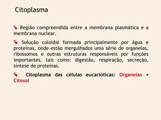 Citoplasma 
 Região compreendida entre a membrana plasmática e a 
membrana nuclear. 
 Solução coloidal formada principalmente por água e 
proteínas, onde estão mergulhados uma série de organelas, 
ribossomos e outras estruturas responsáveis por funções 
importantes, tais como: digestão, respiração, secreção, 
síntese de proteínas. 
 Citoplasma das células eucarióticas: Organelas + 
Citosol 
 