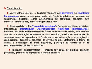  Constituição: 
 Matriz citoplasmática → Também chamada de Hialoplasma ou Citoplasma 
Fundamental. Aspecto que pode variar de fluido à gelatinoso, formada por 
substâncias dispersas, como aglomerados de proteínas, açúcares, sais 
minerais, aminoácidos, bases nitrogenadas e RNA. 
 Citoesqueleto → É o “esqueleto da célula”. Formado por fibras proteicas 
interligadas (microtúbulos ,microfilamentos filamentos intermediários). 
Formam uma rede tridimensional de fibras no interior da célula, que confere 
suporte e sustentação às estruturas nela inseridas, auxilia no transporte de 
vesículas entre as organelas e é fundamental na orientação e separação dos 
cromossomos durante o processo de divisão celular, determina a forma da 
célula e orientação de suas organelas, participa da contração e do 
relaxamento das células musculares. 
 Inclusões citoplasmáticas → Podem ser gotas de lipídios, grânulos 
proteicos, grânulos de pigmentos e cristais diversos. 
 