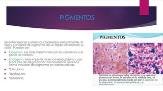 PIGMENTOS
Se entienden las sustancias coloreadas naturalmente. El
tipo y cantidad de pigmento de un tejido determinan su
color. Pueden ser:
 Exógenos. Los mas importantes son los carotenos y el
polvo de carbón.
 Endógeno. Mas importante es la hemoglobina cuyo
producto de degradación hemosiderina aparece
como inclusión de pigmento en ciertas células.
 *bilirrubina
 *lipofuscina
 *melanina
 